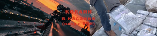 мескалин Богданович