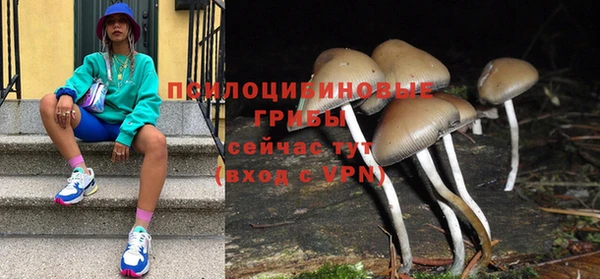 кокаин перу Бородино