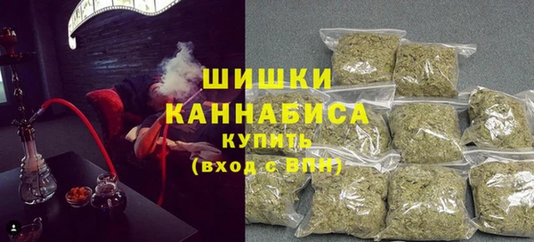 гашик Бронницы