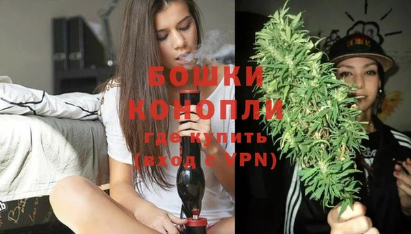 сатива Бугульма