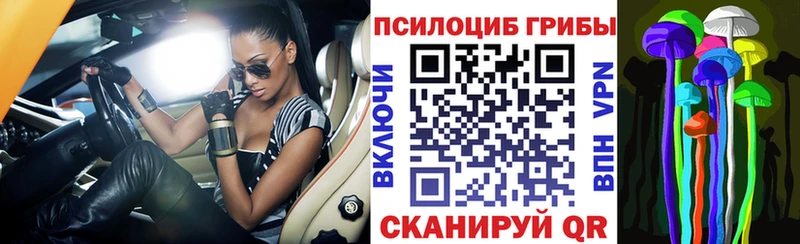 Псилоцибиновые грибы MAGIC MUSHROOMS Гусь-Хрустальный