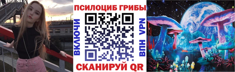 Галлюциногенные грибы MAGIC MUSHROOMS  купить наркотики сайты  Гусь-Хрустальный 